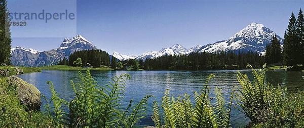 Panorama Landschaftlich schön landschaftlich reizvoll Berg Farn Alpen Kanton Uri Bergsee