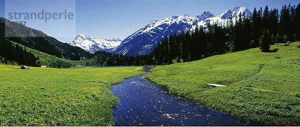Panorama Landschaftlich schön landschaftlich reizvoll Berg Europäische Union EU Bach Alpen Kanton Uri Schweiz