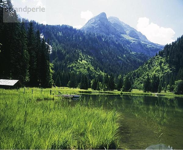 Landschaftlich schön landschaftlich reizvoll Berg Boot Alpen Berner Oberland Kanton Bern Euro Bergsee Schweiz