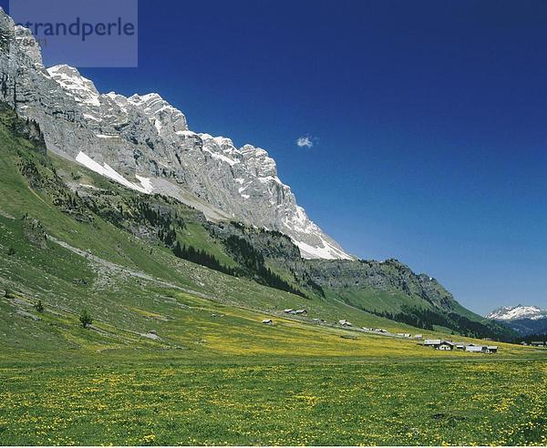 Felsbrocken Landschaftlich schön landschaftlich reizvoll Europa Berg Blume Steilküste Tal Alpen Kanton Uri Schweiz