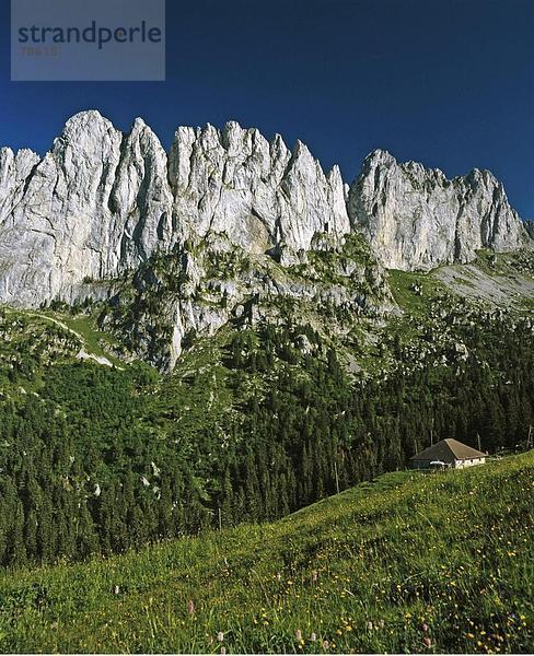 Felsbrocken Landschaftlich schön landschaftlich reizvoll Europa Berg Steilküste Alpen Schweiz