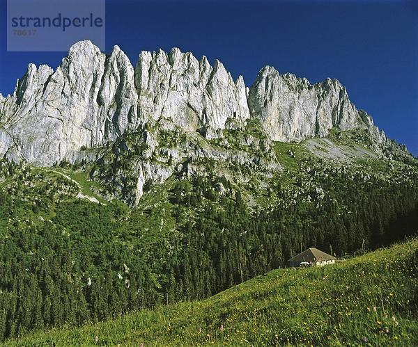 Felsbrocken Landschaftlich schön landschaftlich reizvoll Europa Berg Steilküste Alpen Schweiz