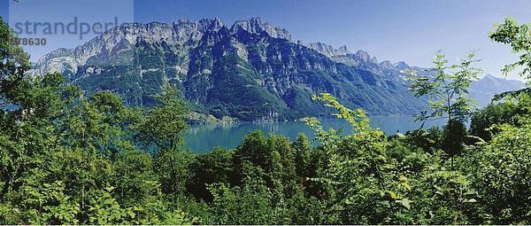 Panorama Landschaftlich schön landschaftlich reizvoll Berg Alpen