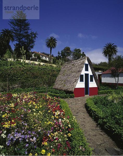 Botanischer Garten Botanische Blume Botanik Urlaub Insel Atlantischer Ozean Atlantik Funchal