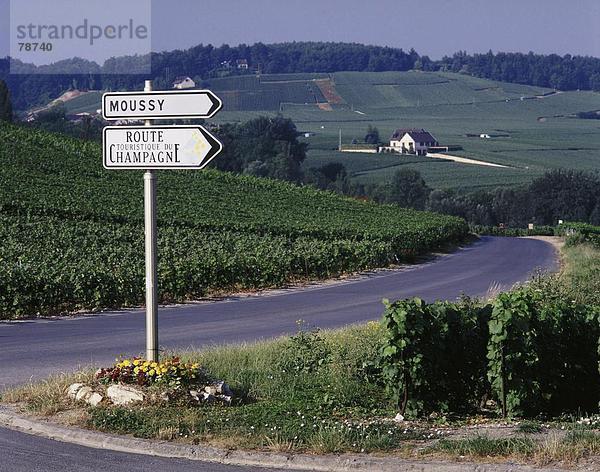 10753262  Champagner  Epernay  EU  Europa  Europäische  Urlaub  Frankreich  Europa  Horizontal  Landwirtschaft  Marne  Post  Region  Ar