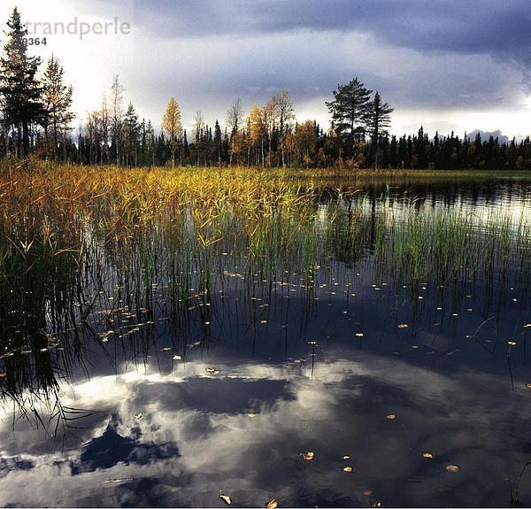 10760756  Abenddämmerung  Abend  Stimmung  Dämmerung  Dämmerung  Gefühl  Finnland  Gefühle  Emotionen  Herbst  Himmel  Jahreszeit  Landschaft  Lappland  natur