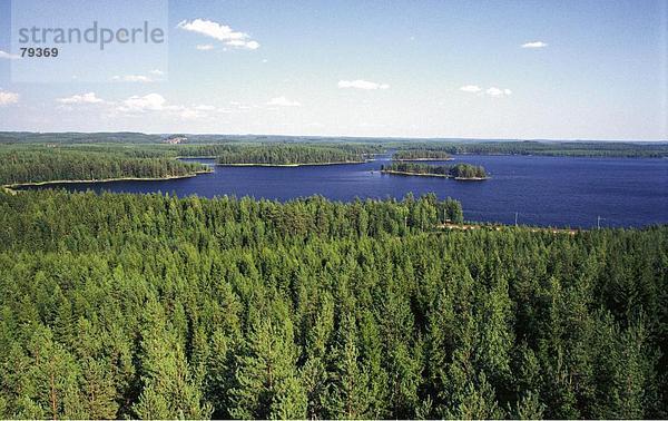 Landschaftlich schön landschaftlich reizvoll Sommer See Meer Natur Holz Insel Finnland Jahreszeit