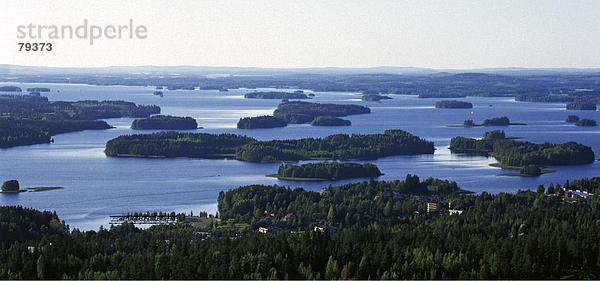 Landschaftlich schön landschaftlich reizvoll Sommer Wald See Meer Natur Holz Insel Finnland Jahreszeit
