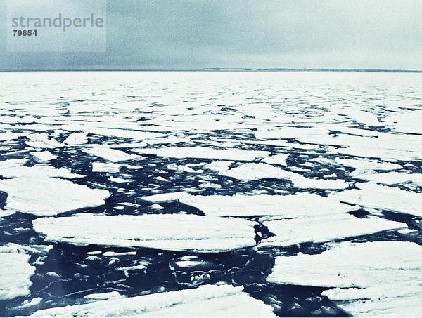 Landschaftlich schön landschaftlich reizvoll Winter Ozean Meer Eis Natur Außenaufnahme Ostsee Baltisches Meer Finnland Jahreszeit
