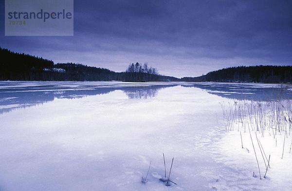 Landschaftlich schön landschaftlich reizvoll grau Beleuchtung Licht Himmel Depression Eis Natur Pflanze Regen Insel Eisglätte Finnland Jahreszeit