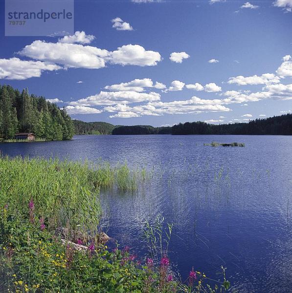 10761129  blau  Himmel  Finnland  gutes Wetter  gutes Wetter  fröhlich  Heiterkeit  Himmel  Insel  Insel  Jahreszeit  Landschaft  Licht