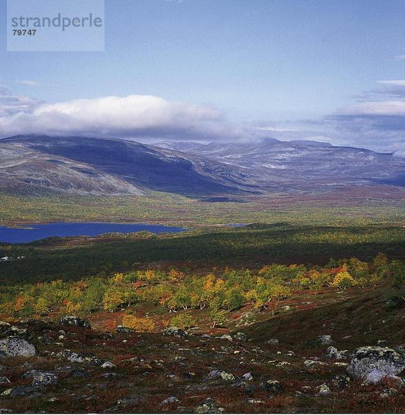 10761139  Fjells  in der Nähe von Artikel  Berg  Birke  blau  Himmel  helle  Farben  Rock Vegetation  Finnland  Berge  Felsen  gr