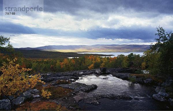 10761140  Fjells  in der Nähe von Creek  Bach  Artikel  Basalt  Birke  hell  Farben  Klippe  Stein  Klippe  Finnland  Fels  Herbst  s
