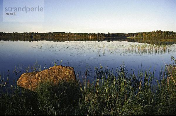 10761176  blau  Himmel  Finnland  gutes Wetter  gutes Wetter  Himmel  Insel  Insel  Jahreszeit  morgen  Morgenstimmung  Natur  Reed  Reis