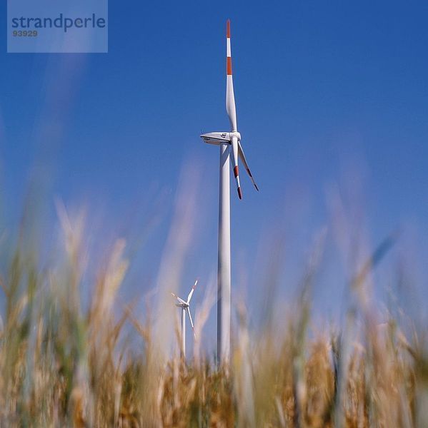 Windturbine Windrad Windräder Weizenfeld