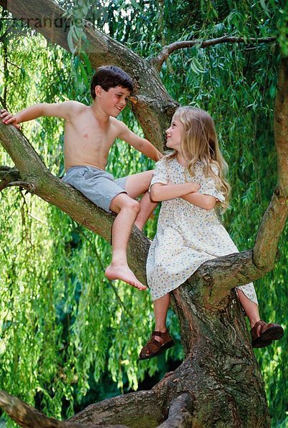 Kinder. Boy & Mädchen. Im Freien. Baum