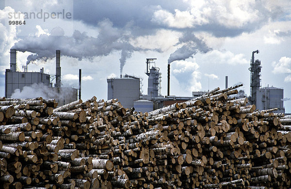 Haufen von Protokolle vor der Fabrik