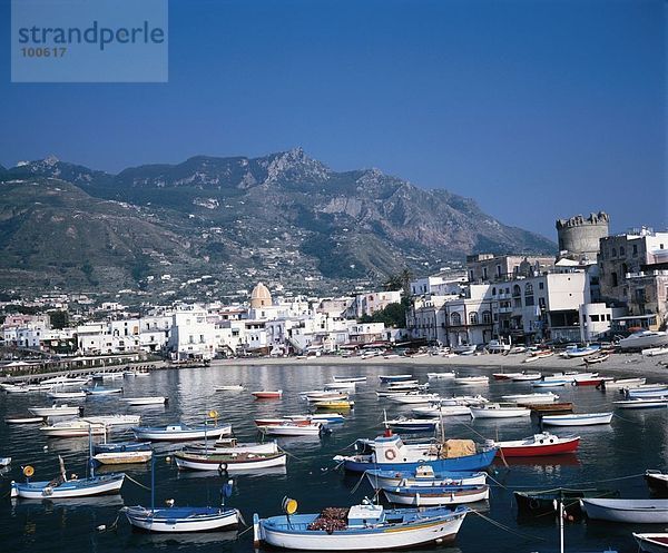 Boote im Hafen  Insel Ischia  Italien