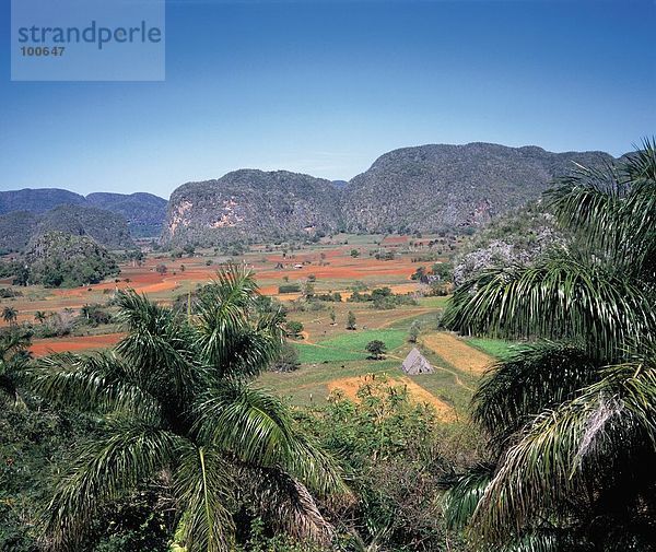 Luftbild des Tals  Valle De Vinales  Kuba