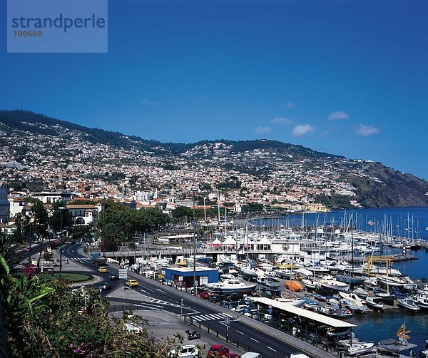 Erhöhte Ansicht der Boote im Hafen  Madeira  Portugal