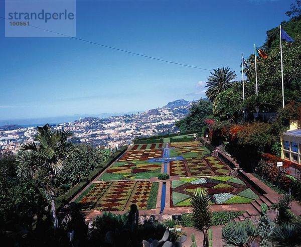 hoch oben Botanischer Garten Botanische Ansicht Flachwinkelansicht Winkel Funchal Madeira Portugal
