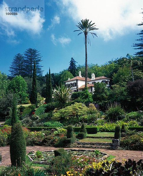 Botanischer Garten Botanische frontal Funchal Madeira Portugal Villa