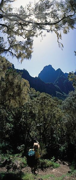 Rückansicht des Wanderer auf Berg  Cirque De Cilaos  Réunion  Frankreich