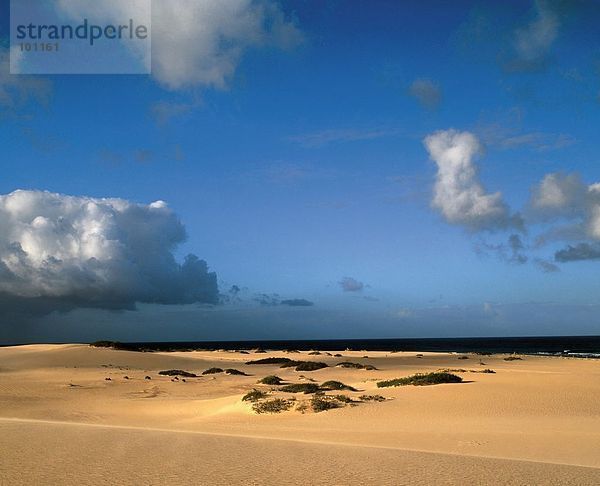 Sanddünen unter bewölkten Himmel  Kanaren  Spanien
