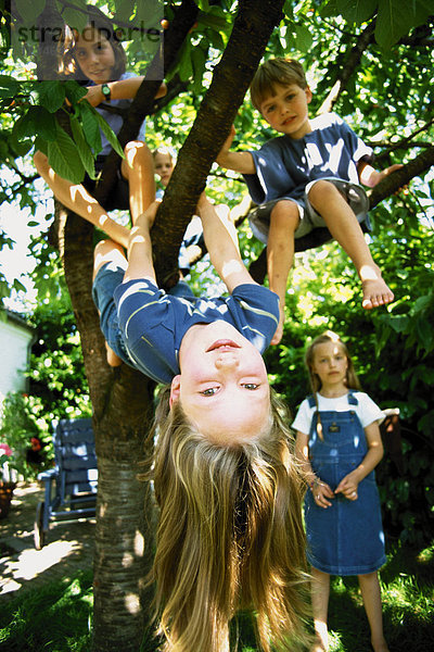 Kinder spielen im Baum