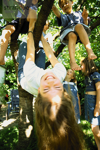 Kinder spielen im Baum