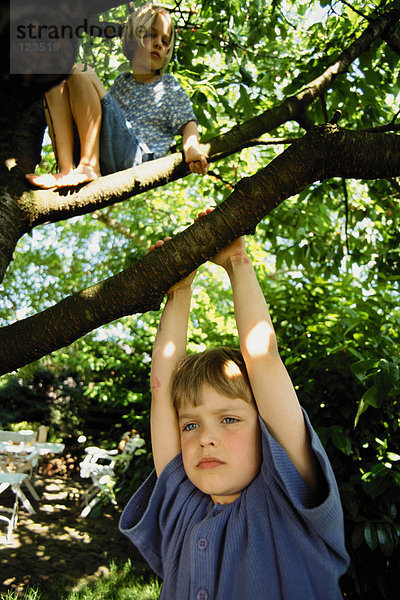 Kinder am Baum
