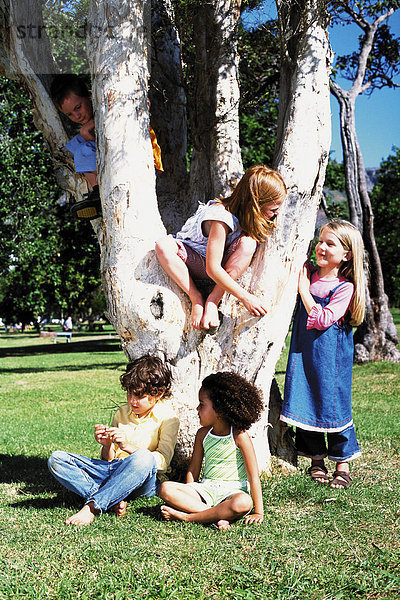 Kinder spielen auf einem Baum