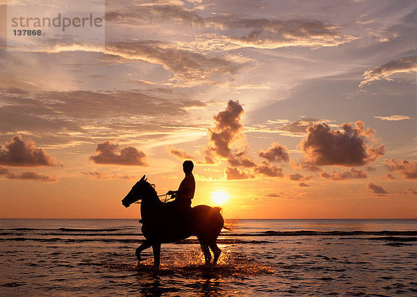 Person Reitpferd im Meer bei Sonnenuntergang