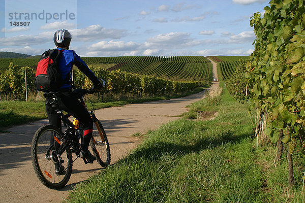 Rückansicht des Menschen sitzen auf dem Fahrrad