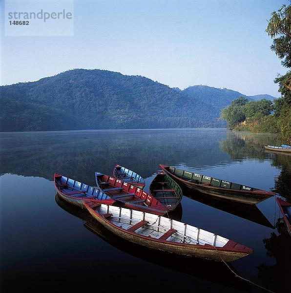 Boote in Lake  Lake Phewam  Pokhara  Nepal