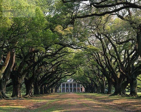 Vereinigte Staaten von Amerika USA führen Herrenhaus Baum Fernverkehrsstraße schmutzig vorwärts Louisiana New Orleans