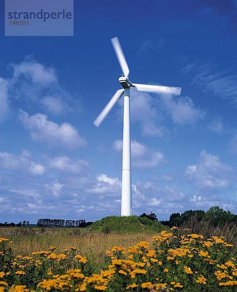 Windturbine Windrad Windräder Himmel Feld blau Deutschland Mecklenburg Vorpommern