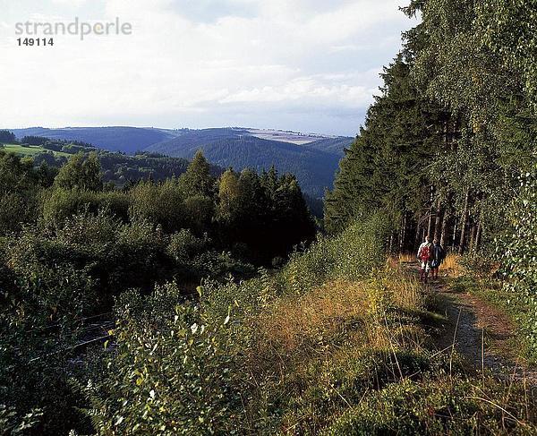 Zwei Wanderer zu Fuß auf Waldweg  Deutschland