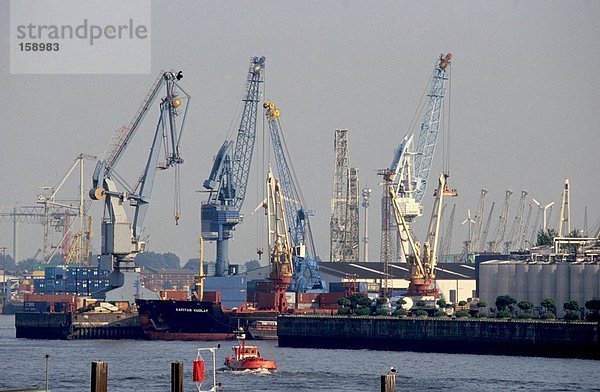 Krane und Container-Schiff an Port  Elbe River  Hamburg  Deutschland