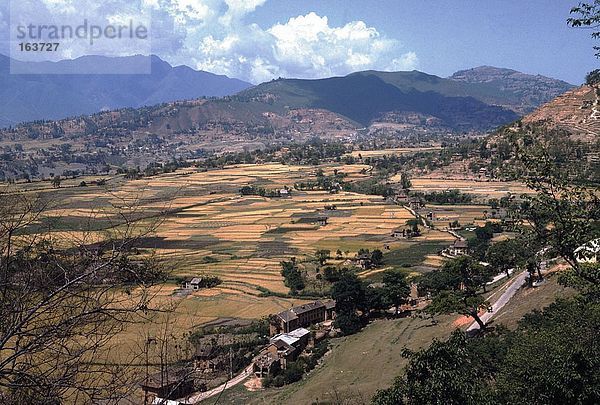 Terrassenförmig angelegten Felder mit Gebirge im Hintergrund  Himalaya  Nepal