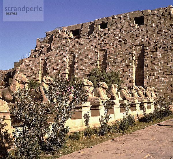 Ruinen der Tempel  Sphinx-Tempel  Luxor  Ägypten