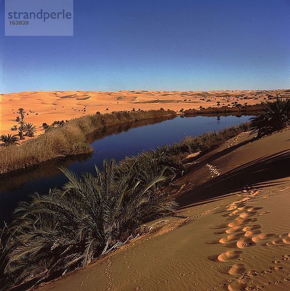 Sanddünen in der Wüste  Libysche Wüste  Fessan  Libyen