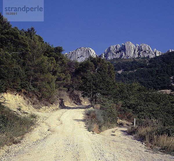 Unbefestigte Straße durch Wald  Gigondas  Vaucluse  Provence-Alpes-Côte d ' Azur  Frankreich