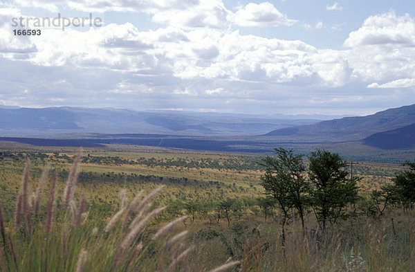Südafrika  Panorama an der Route R 63  Karoo  Bedford  Eastern Cape