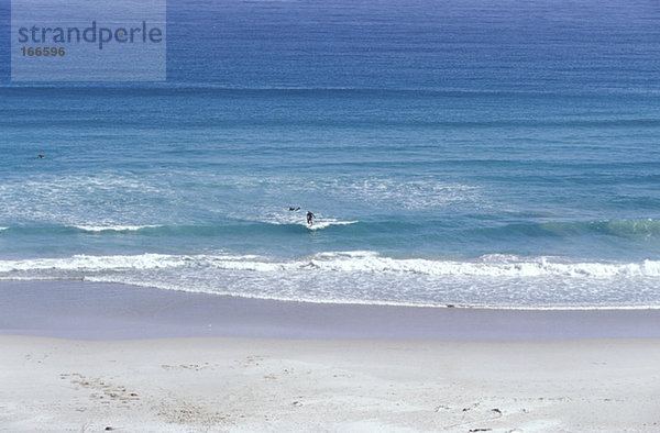 Surfer in Witsand Bay  Middle Beach bei Scarborough  Südafrika