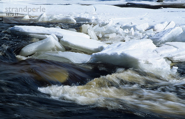 Germany  Black Forest  ice floe flowing with water