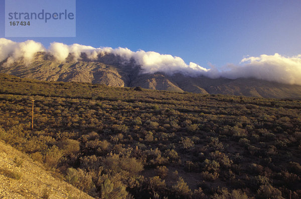 Südafrika  Western Cape  Langeberg Mountains  Beginn der Kleinen Karoo auf der R 62 von Montagu nach Barrydale