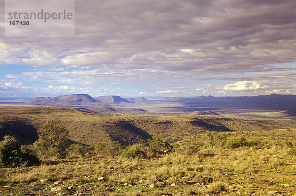 Südafrika  Ostkap  Bergzebra-Nationalpark  Cradock  Karoo