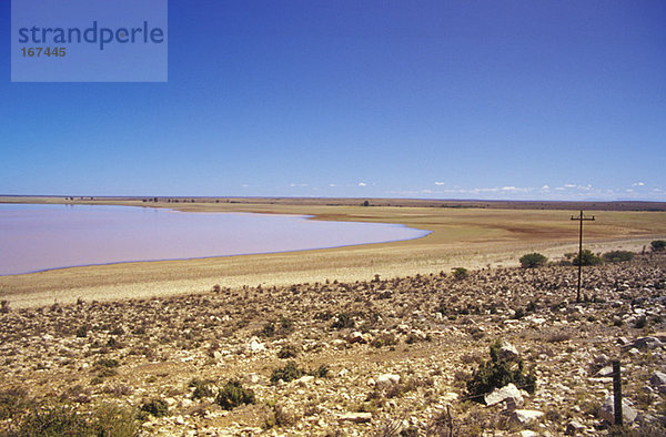 Südafrika  Volstruisleegte  Ostkap  Große Karoo  Beervlei Damm  flache Karoo-Landschaft