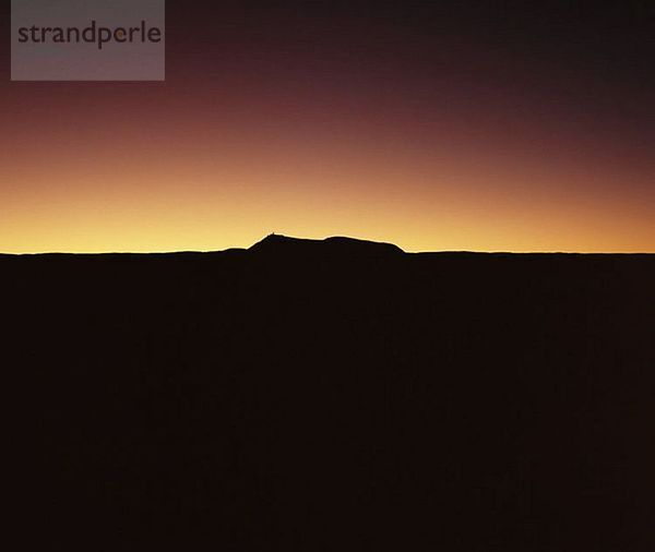 Catarpe San Pedro Atacama-Wüste